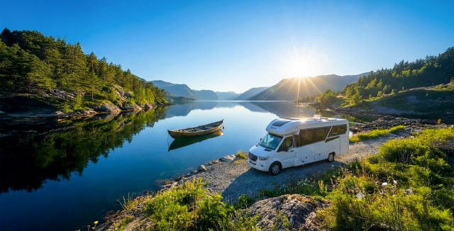 Frankia Noctra, norway